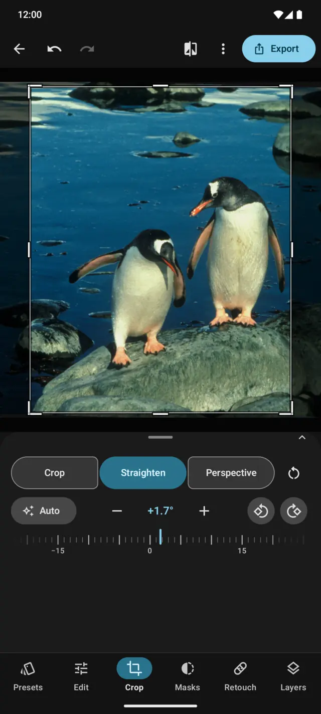 Crop: two penguins being straightened by 1.7 degrees.